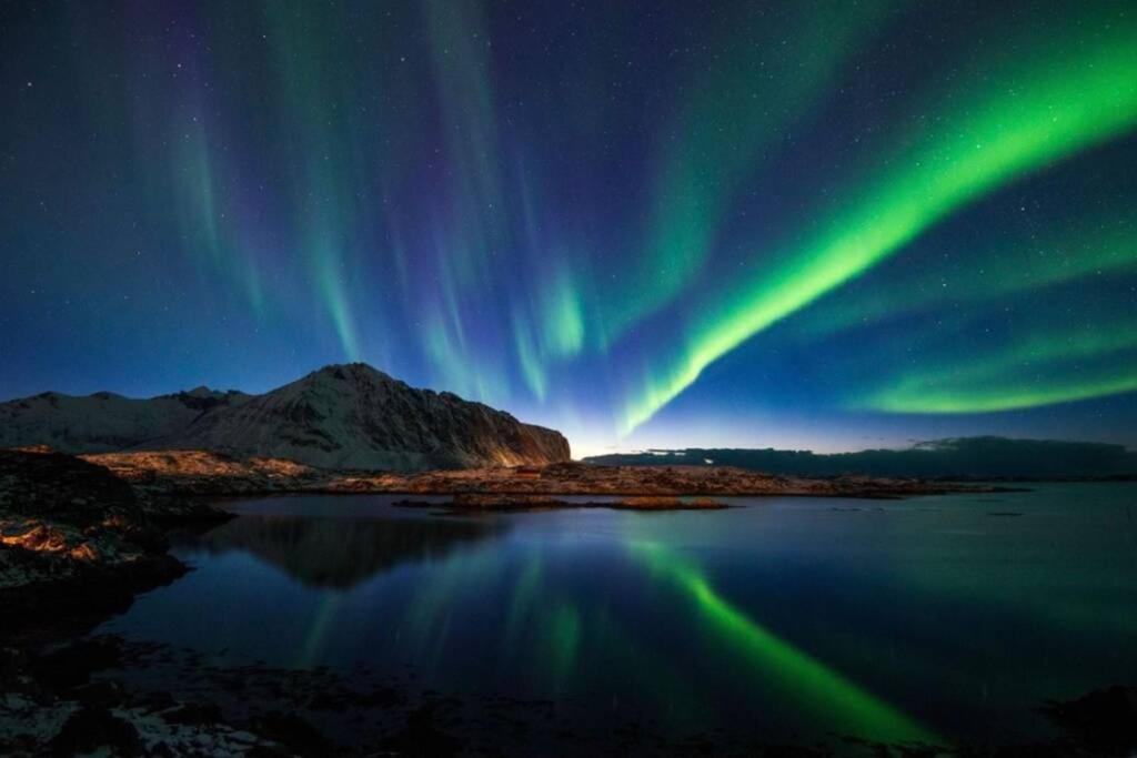 Villa Borgvag - A Unique Seafront Villa In The Heart Of Lofoten Bostad Exteriör bild