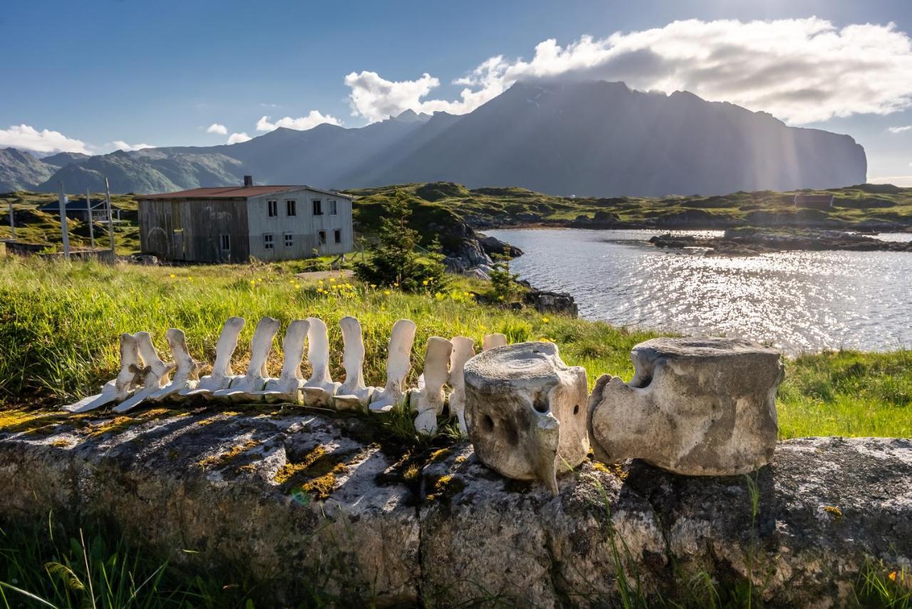 Villa Borgvag - A Unique Seafront Villa In The Heart Of Lofoten Bostad Exteriör bild