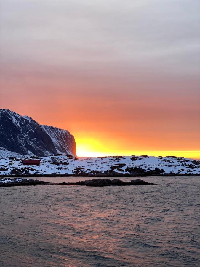 Villa Borgvag - A Unique Seafront Villa In The Heart Of Lofoten Bostad Exteriör bild